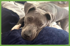  : Jada