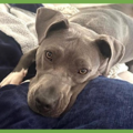  : Jada
