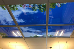 Gebruikte apparatuur: Fotoplafond van lumick