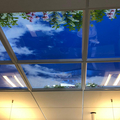 Gebruikte apparatuur: Fotoplafond van lumick