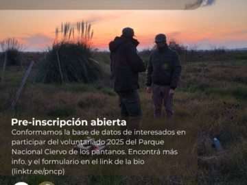 Radar: Voluntariado en el Parque Nacional Ciervo de los Pantanos