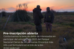 Radar: Voluntariado en el Parque Nacional Ciervo de los Pantanos