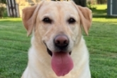   : Nala 