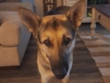   : Rufus