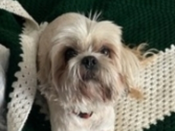   : Cooper
