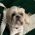   : Cooper