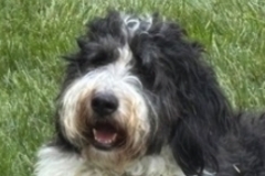   : Spencer 