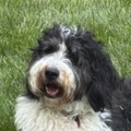   : Spencer 