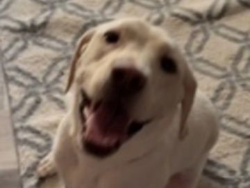  : Macy