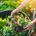 Actualité: Composter, ce n’est pas compliqué