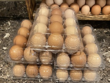 Selling with In-person Payment: Farm Fresh Pasture Raised Chicken Eggs (Mt Airy, NC)