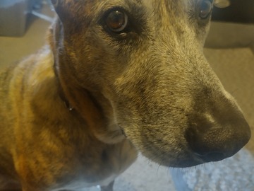   : Copper 