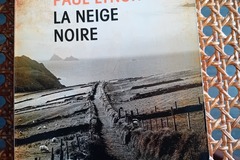 Selling: La neige noire - Paul Lynch - Poche