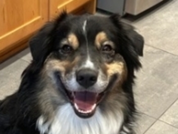   : Rosie