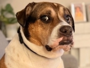   : Frankie