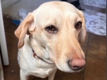   : Mama
