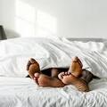 Selling: Are They Having Erotic Dreams About You?
