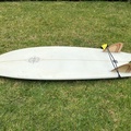 For Rent: 5'6" Fish, Jim Ellington 