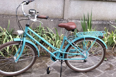 Vente: Vélo adulte femme petite taille NEUF jamais utilisé	