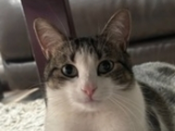   : Eli