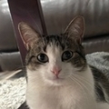   : Eli