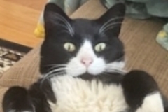   : Bama