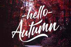 Selling: AUTUMN 2025 3 MONTH PSYCHIC & TAROT READING; Deep & Revealing
