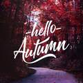 Selling: AUTUMN 2025 3 MONTH PSYCHIC & TAROT READING; Deep & Revealing