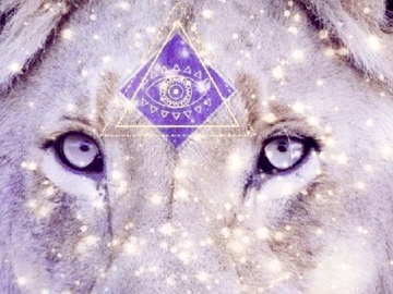 Selling: ✨ Lions Gate 888Hz - DNA Activation ✨