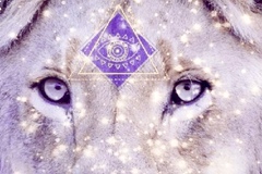 Selling: ✨ Lions Gate 888Hz - DNA Activation ✨