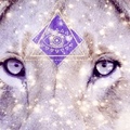 Selling: ✨ Lions Gate 888Hz - DNA Activation ✨
