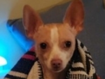   : Charlie