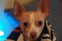   : Charlie