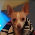   : Charlie