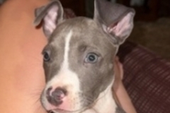   : Luna