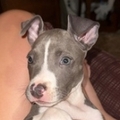   : Luna