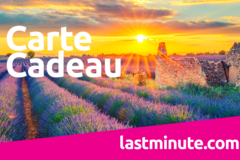 Vente: e-Carte cadeau Lastminute "Vol + Hôtel" (200€)