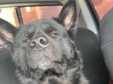   : Zeus