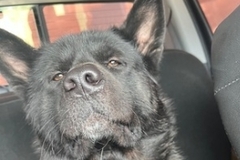   : Zeus
