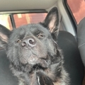   : Zeus