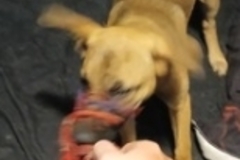   : Lyla
