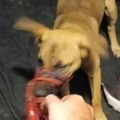   : Lyla