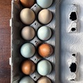 Selling with In-person Payment: Local, Organic, Free Range Eggs! (Jacksonville, FL)