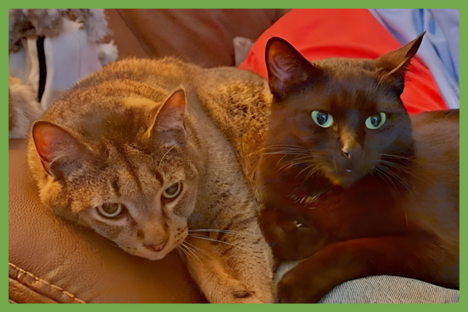 Danny and Lilbit
