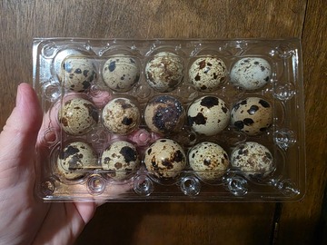 Selling with online payment: Coturnix Quail Eggs