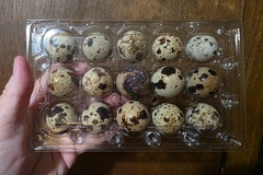 Selling with online payment: Coturnix Quail Eggs