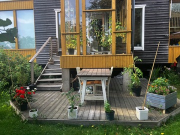 Annetaan vuokralle: Fully furnished studio apartment (September 2025-February 2026)