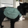 Leier ut (per day): Ruffwear Front range koiran reppu