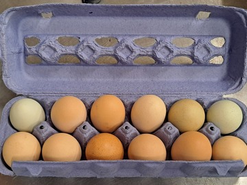 Selling with In-person Payment: Farm Chicken Eggs Picked daily (Lithia Springs, GA)