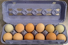 Selling with In-person Payment: Farm Chicken Eggs Picked daily (Lithia Springs, GA)